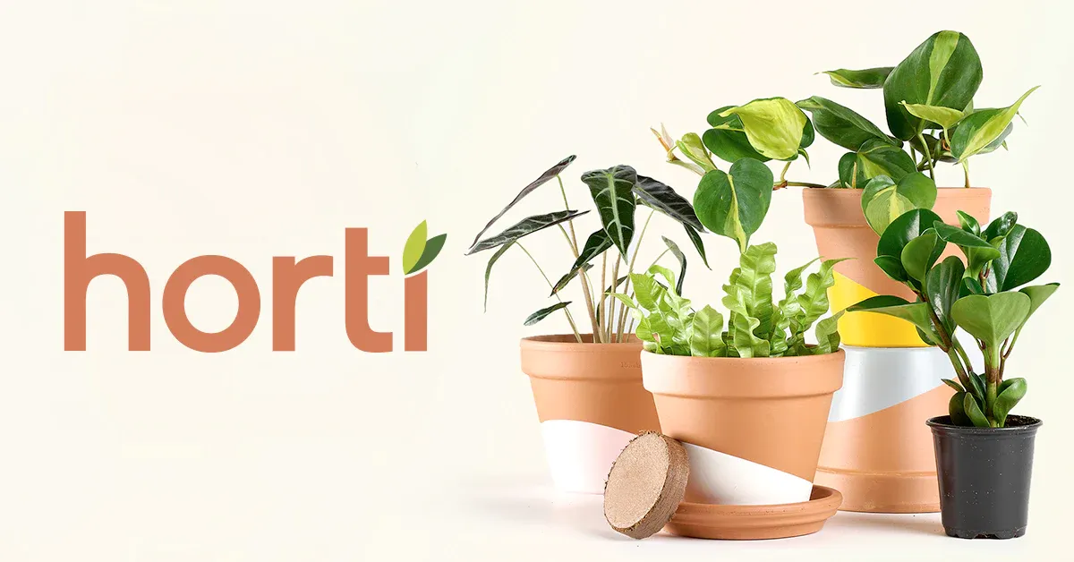 Hey Horti discount code